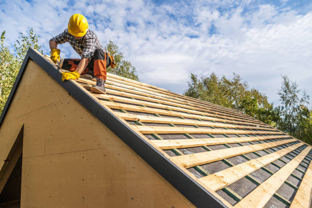 Best Gutter Installation and Roofing  in Rio Bravo, TX